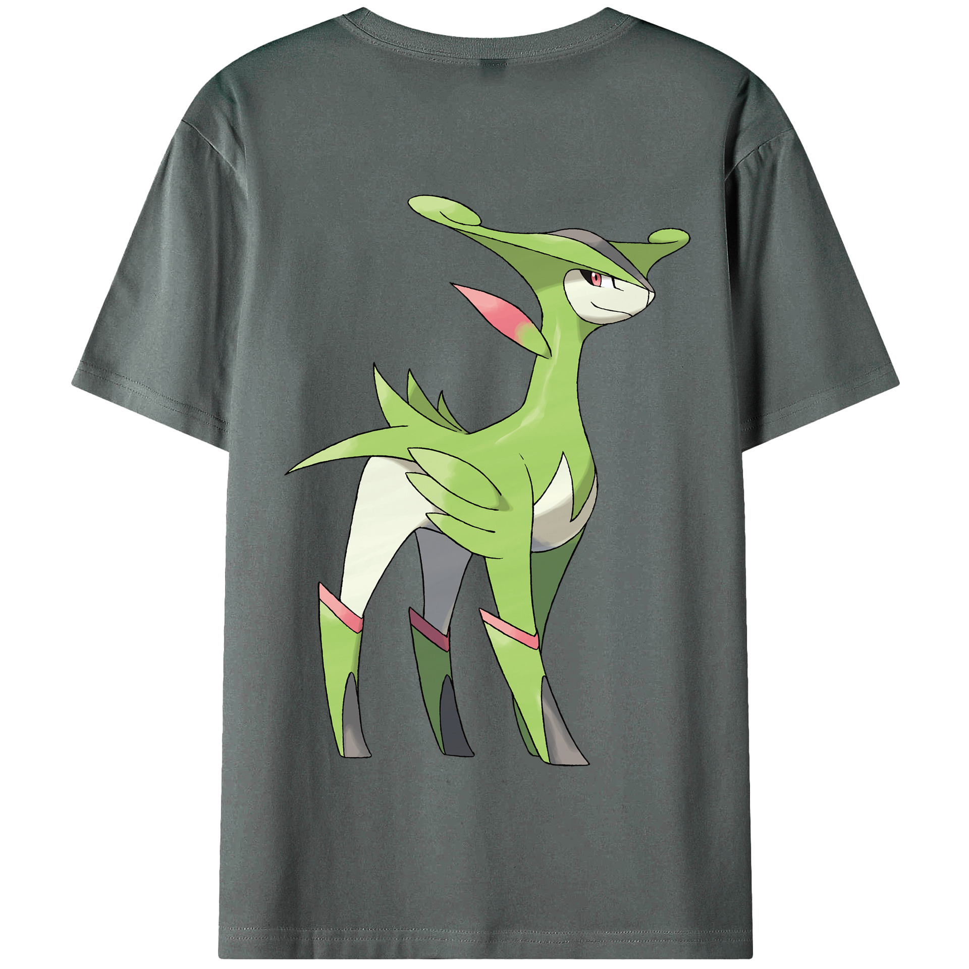 （画像用） ポケットモンスター Pokémon 綿100％半袖Tシャツ（背面プリント）